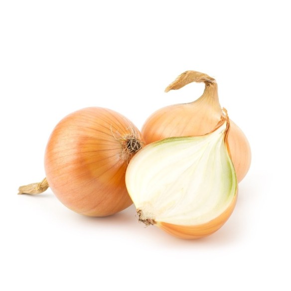 cipolla dorata biologica "almaverde bio" - acquista online su FruttaWeb.com cipolla dorata biologica "almaverde bio" - acquista online su FruttaWeb.com