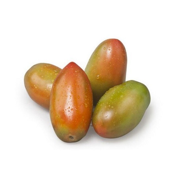 Pomodoro Oblungo Fresco Biologico "Almaverde Bio"