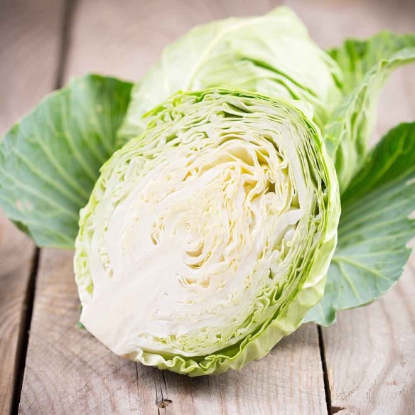 Ordina ora il cavolo cappuccio bianco Almaverde Bio su Fruttaweb.com!