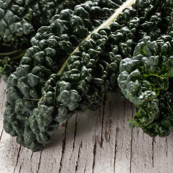 Cavolo Nero Biologico Almaverde Bio