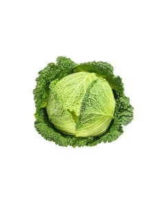 Cavolo Verza Verde "- acquista online su FruttaWeb