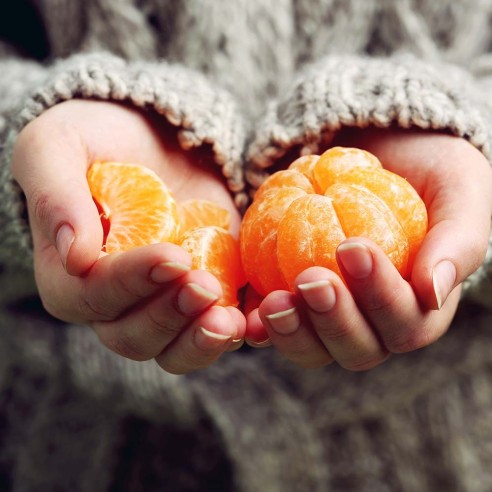 Mandarini Biologici Almaverde Bio proprietà e benefici su FruttaWeb.com