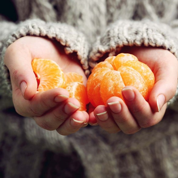 Mandarini Biologici Almaverde Bio proprietà e benefici su FruttaWeb.com Mandarini Biologici Almaverde Bio proprietà e benefici su FruttaWeb.com