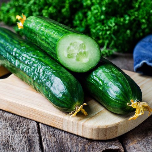 Cetrioli Biologici Almaverde Bio