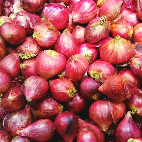 Scalogno Biologico Almaverde Bio: acquista ora su FruttaWeb.com