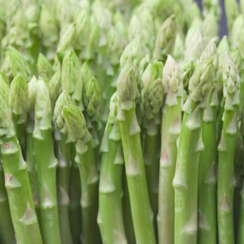 Asparagi Verdi Biologici Almaverde Bio: Acquista Online con un Click