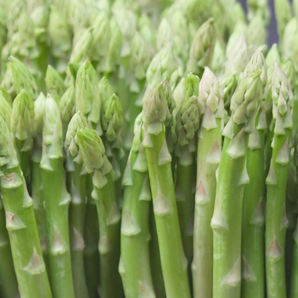 Asparagi Verdi Biologici Almaverde Bio: Acquista Online con un Click