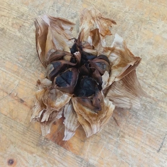 Aglio nero: acquista online su FruttaWeb.com