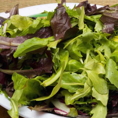 Misticanza Lavata e Pronta Horeca Acquista Online FruttaWeb