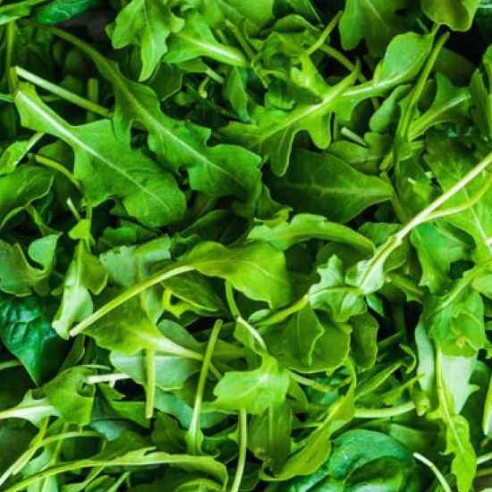 Rucola fresca Lavata e Pronta Horeca Acquista Online su fruttaweb.com 