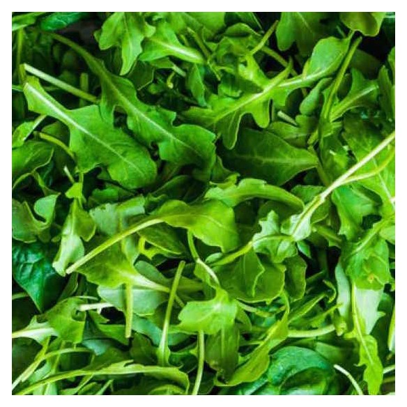 Rucola fresca Lavata e Pronta Horeca Acquista Online su fruttaweb.com 