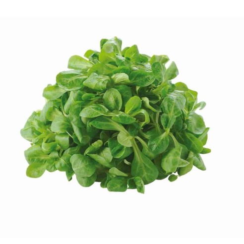 Valeriana biologica Acquista Online su fruttaweb.com