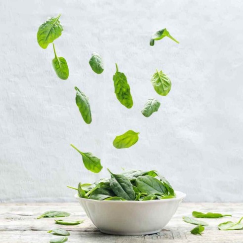 Spinacino Lavato e Pronto Horeca Acquista Online su FruttaWeb
