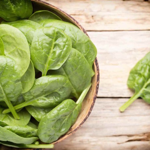 Ciotola con Spinacino Lavato e Pronto Horeca Acquista Online su FruttaWeb.com