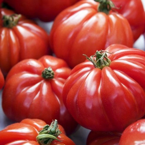 Pomodoro cuore di bue Almaverde Bio - acquista online su FruttaWeb in tavola