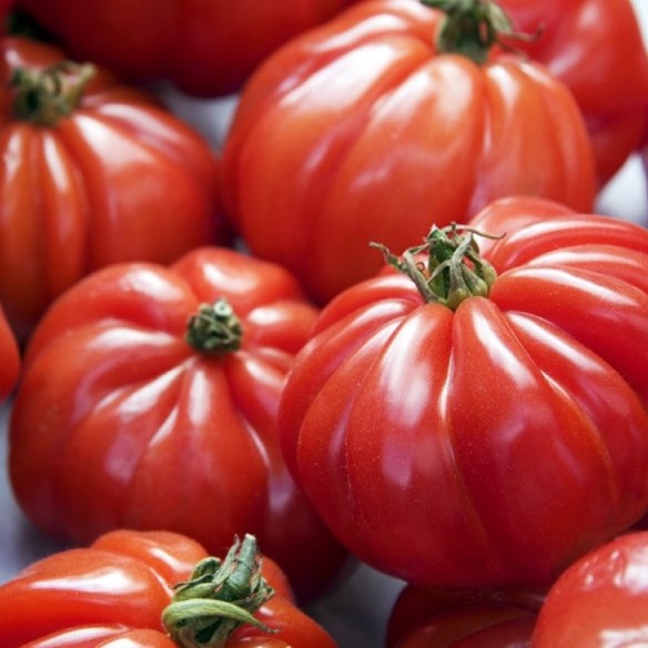 Pomodoro cuore di bue Almaverde Bio - acquista online su FruttaWeb in tavola