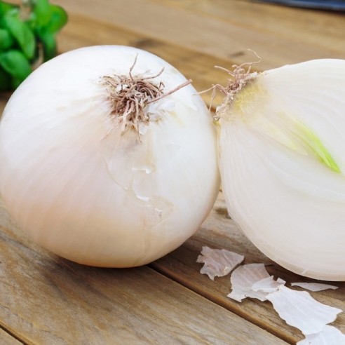 Cipolla bianca Almaverde Bio: Acquista online su FruttaWeb.com proprietà
