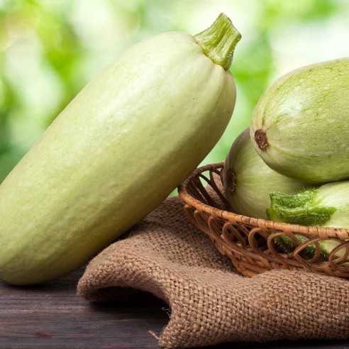 Ordina ora le zucchine verdi chiare biologiche Almaverde Bio!