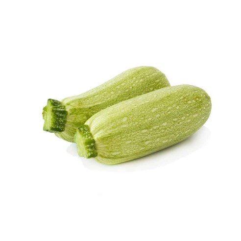 Ordina ora le zucchine verdi chiare biologiche Almaverde Bio!