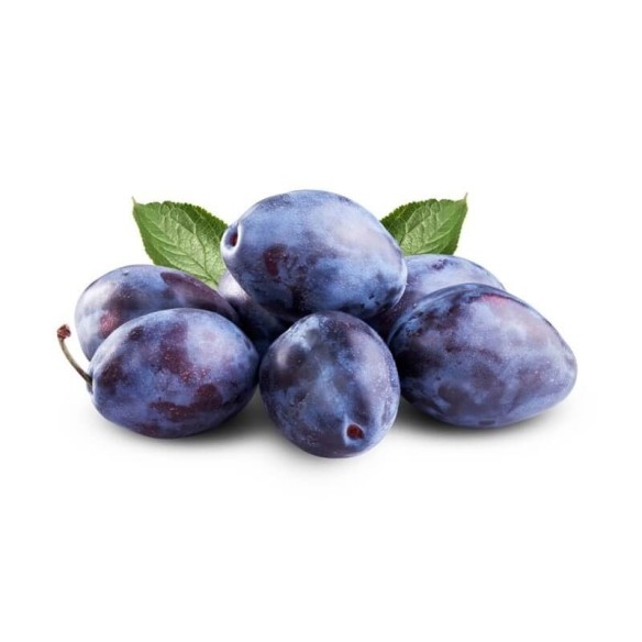 Susine Stanley Biologiche Almaverde Bio Acquista Online su fruttaweb.com Susine Stanley Biologiche Almaverde Bio Acquista Online su fruttaweb.com