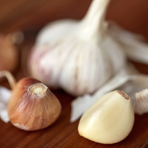 Aglio secco biologico italiano Almaverde Bio: acquista online su FruttaWeb.com Aglio secco biologico italiano Almaverde Bio: acquista online su FruttaWeb.com