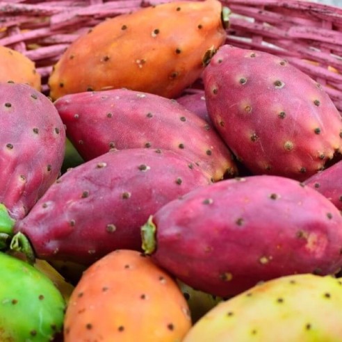 Fichi d'India Biologici Almaverde Bio: Acquista Online su FruttaWeb.com