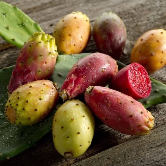 Fichi d'India Biologici Almaverde Bio: Acquista Online su FruttaWeb.com