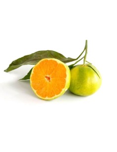 Miyagawa Biologico Almaverde Bio: Acquista Online su FruttaWeb.com