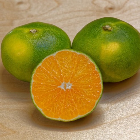 Miyagawa Biologico Almaverde Bio: Acquista Online su FruttaWeb.com