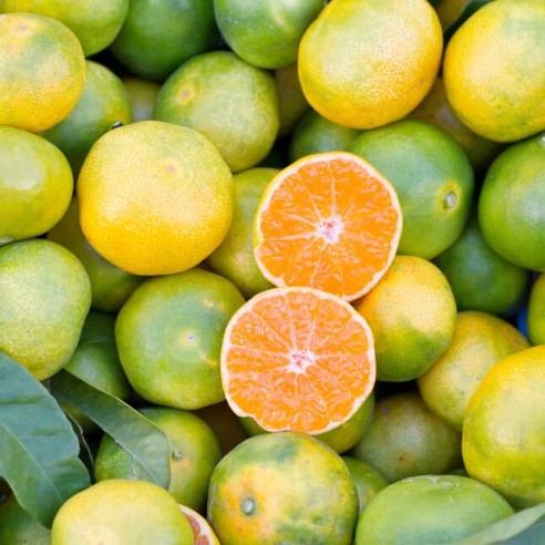 Miyagawa Biologico Almaverde Bio: Acquista Online su FruttaWeb.com