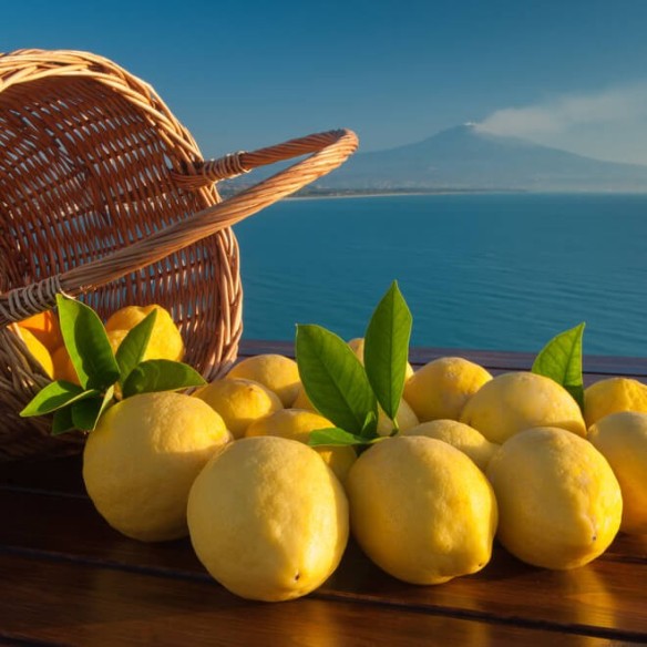 Limone biologico fresco dalla Sicilia: compralo ora su FruttaWeb.com