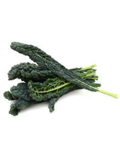 Cavolo Nero Biologico Almaverde Bio