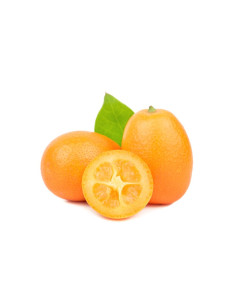 Kumquat il mandarino cinese Almaverde Bio