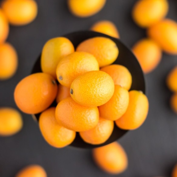 Kumquat, il mandarino cinese: acquista online