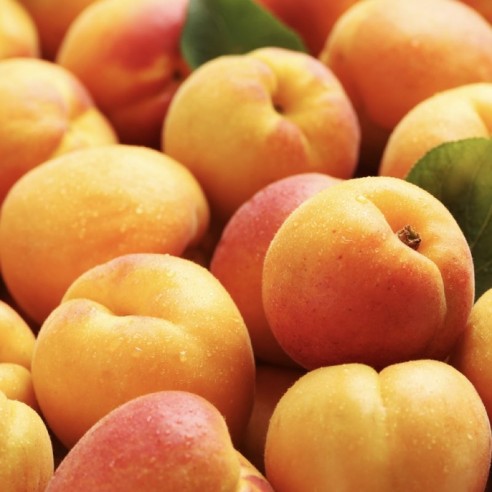 Albicocche Fresche Acquista Online su fruttaweb.com