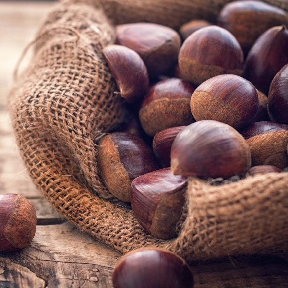 Castagne biologiche Almaverde Bio