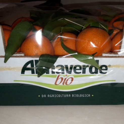 Clementine senza semi: acquista online su FruttaWeb.com