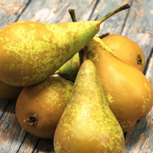 Pere Conference Biologiche Almaverde Bio