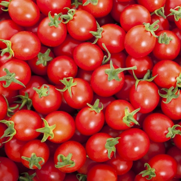 Pomodoro ciliegino biologico: acquista online| FruttaWeb