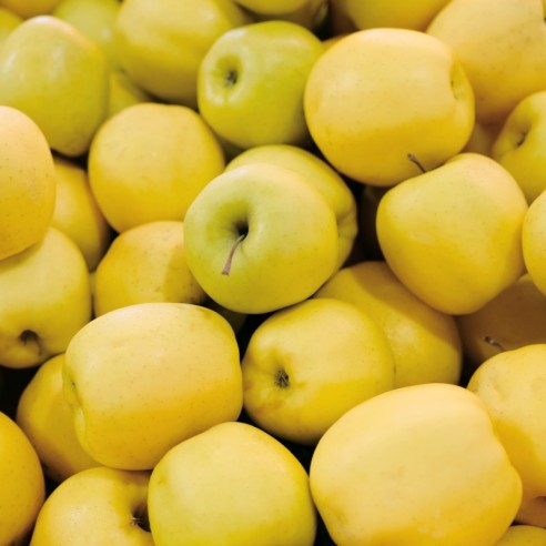 Mele Lafayette Biologiche Almaverde Bio Acquista online