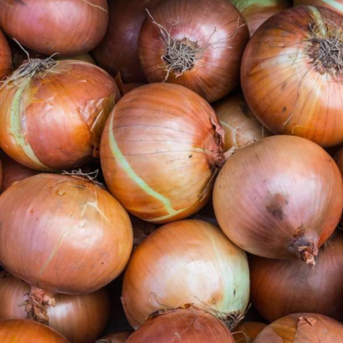 Cipolla Dorata Biodinamica Acquista Online