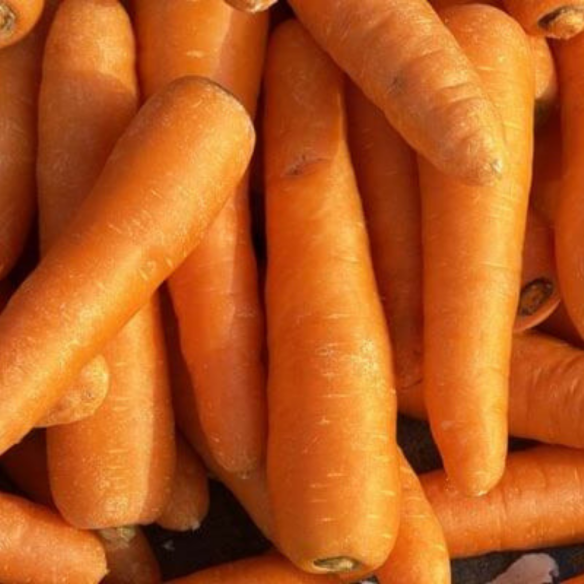 Carote baby biologiche Almaverde Bio | FruttaWeb