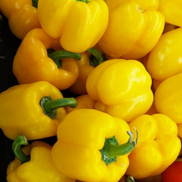 Peperoni gialli biologici: acquista online | FruttaWeb