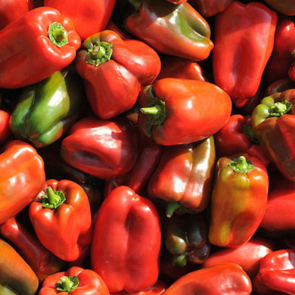 Peperoni rossi Biologici Acquista Online