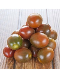 Pomodoro Insalataro Biologico Almaverde Bio Acquista Online