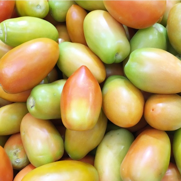 Pomodoro Oblungo Biologico: acquista online | FruttaWeb