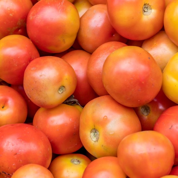 Pomodoro Insalataro Biologico Almaverde Bio Acquista Online