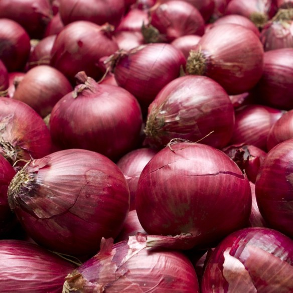 Cipolla rossa Biologica Acquista Online su FruttaWeb Cipolla rossa Biologica Acquista Online su FruttaWeb