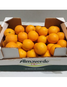 Arance Valencia Biologiche: Acquista Online