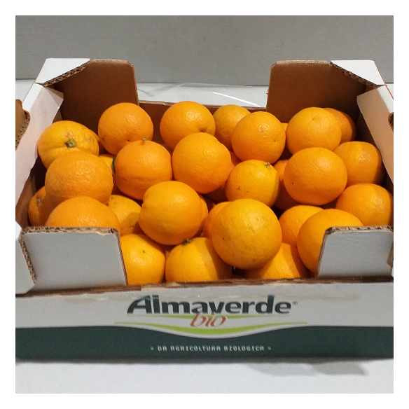 Arance Valencia Biologiche: Acquista Online